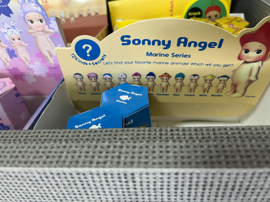 סוני אנג׳לס ים
